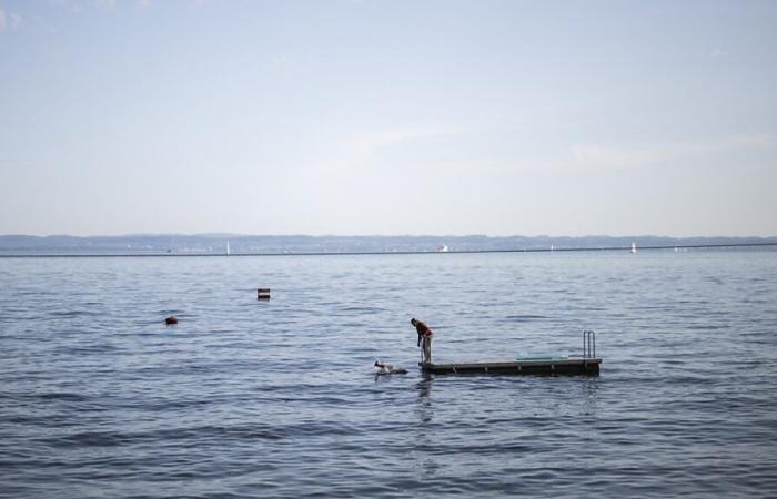 Bone found near plane wreck in Lake Constance