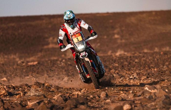 Rally-Raid world champion Ross Branch withdraws from the Dakar.