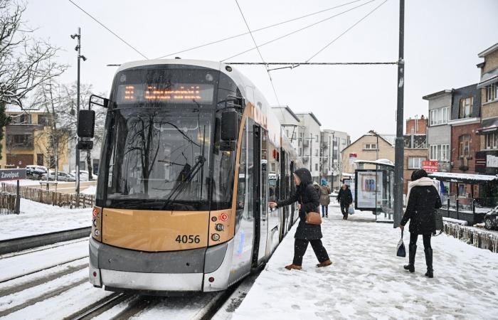 In Neder-Over-Heembeek, the tram divides: “It brings drug addiction from the Gare du Midi”