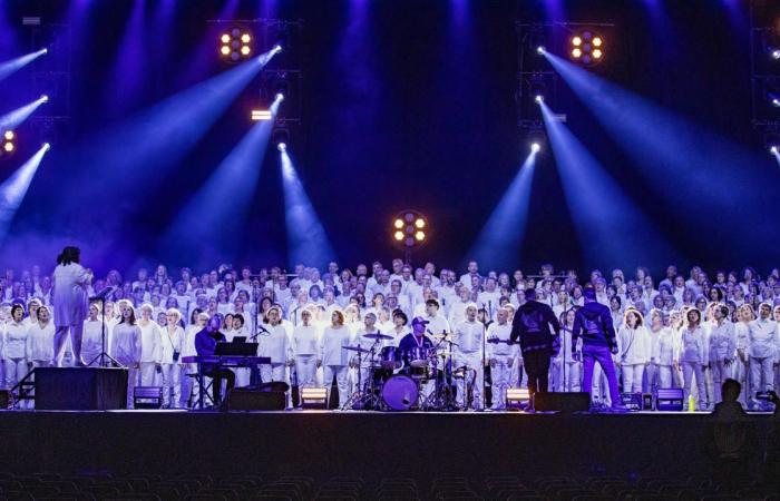 500 star singers of the concert of the most beautiful French songs