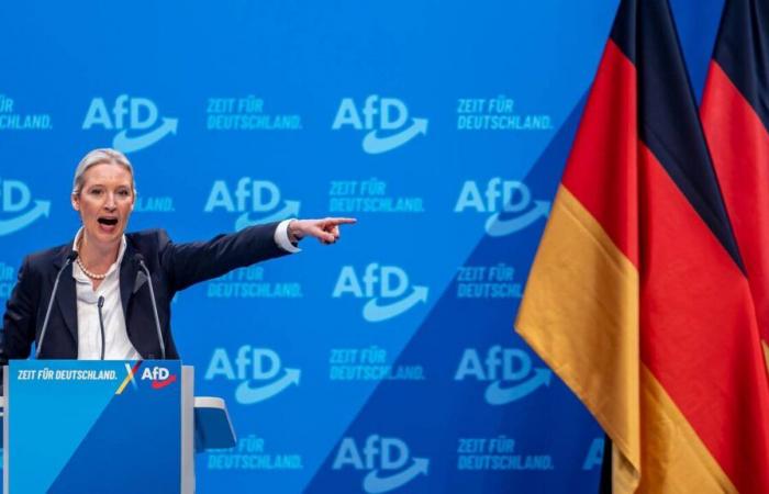 Alice Weidel, dubbed candidate for German chancellor by the AfD