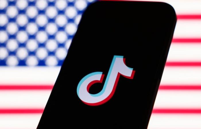 TikTok creators ask followers to migrate ahead of ban to Meta, YouTube