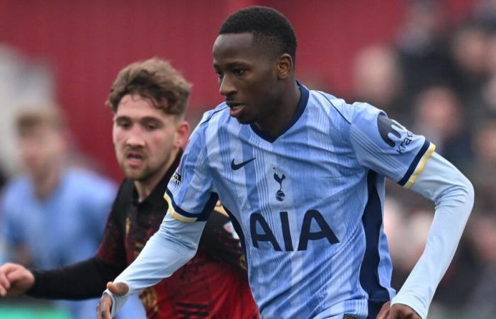 VIDEO: Tamworth defender takes Tottenham’s millionaires for a spin! Spurs duo Timo Werner and Pape Matar Sarr embarrassed by non-league veteran Haydn Hollis during FA Cup tie