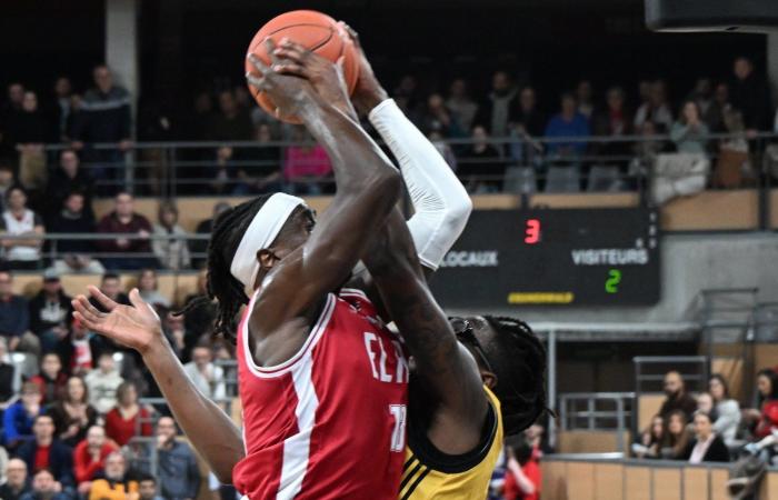 BASKETBALL (Betclic Elite): Elan Chalon overcomes La Rochelle, between contrasts and paradoxes