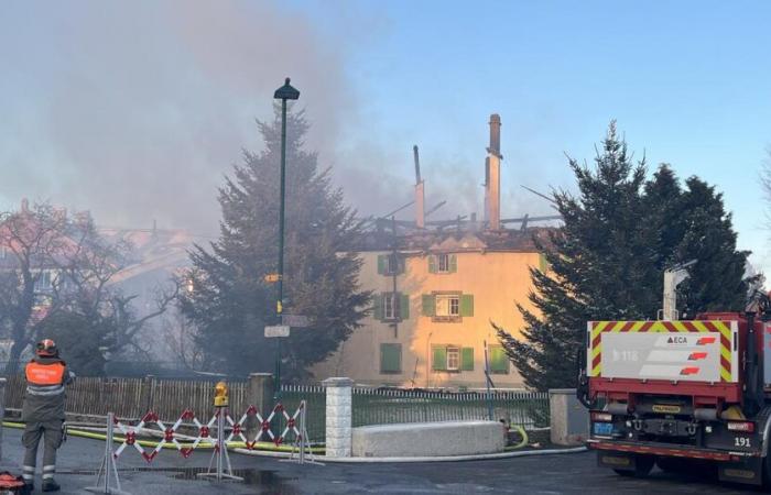 Around thirty cattle killed in the fire on a farm in Peney-le-Jorat – rts.ch