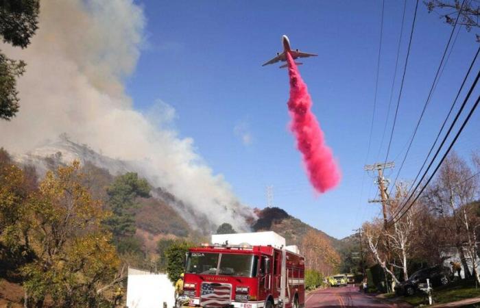 what is this pink powder spilled by bomber planes for?