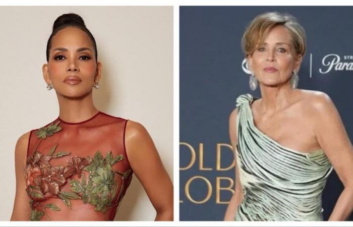 Halle Berry donates her ‘entire closet’ to LA wildfire victims; thanks Sharon Stone for championing the cause | Hollywood