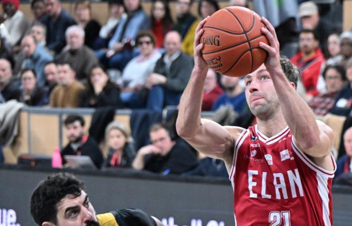 BASKETBALL (Betclic Elite): Elan Chalon overcomes La Rochelle, between contrasts and paradoxes