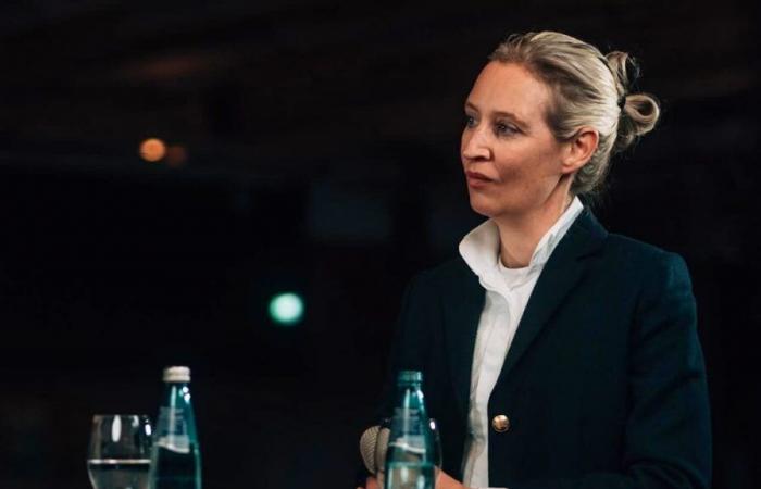 German far right: Expatriate and gay, who is Alice Weidel, leading figure of the AfD?