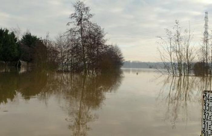 The Oise placed on orange alert for floods, the alert maintained in the Aisne