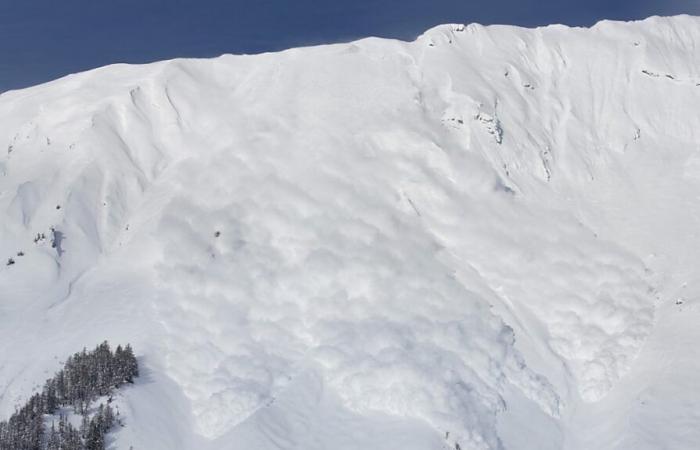 Avalanche kills three people in Piedmont