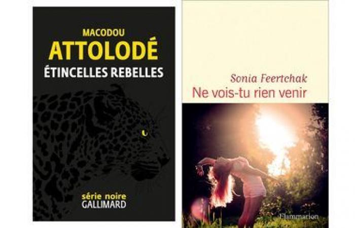 The rest of the selection for the 2025 franceinfo Prize for current affairs and reporting comics, Macodou Attolodé and Sonia Feertchak