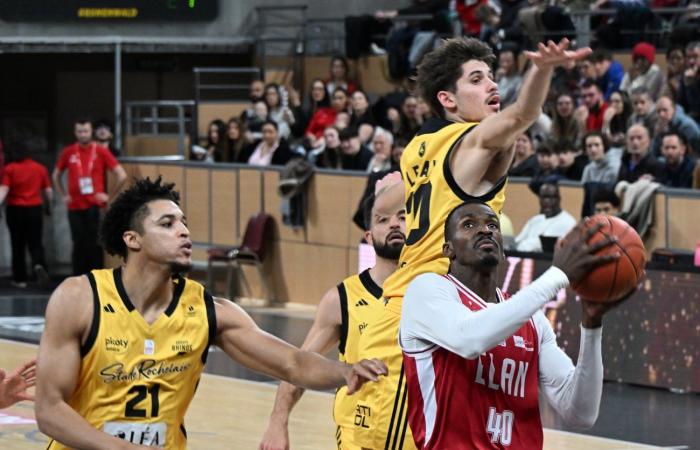 BASKETBALL (Betclic Elite): Elan Chalon overcomes La Rochelle, between contrasts and paradoxes