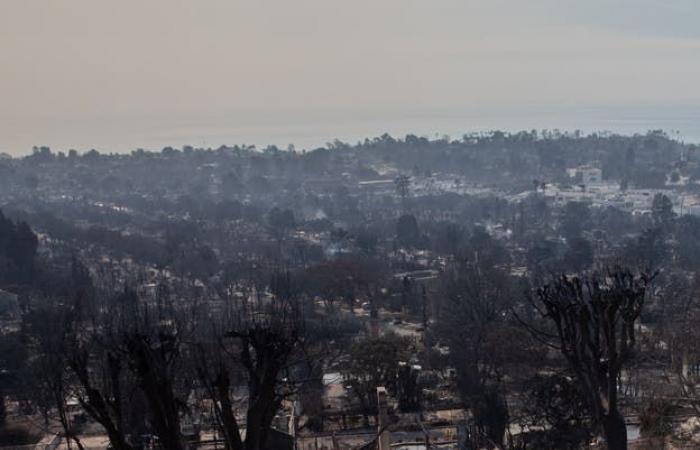 An insight into the Los Angeles fire disaster