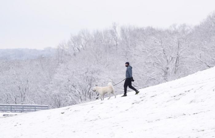 Winter storm maintains its icy grip in the south of the country