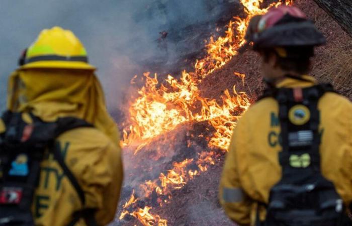 Fires in Los Angeles have now killed 16 people, and continue to spread