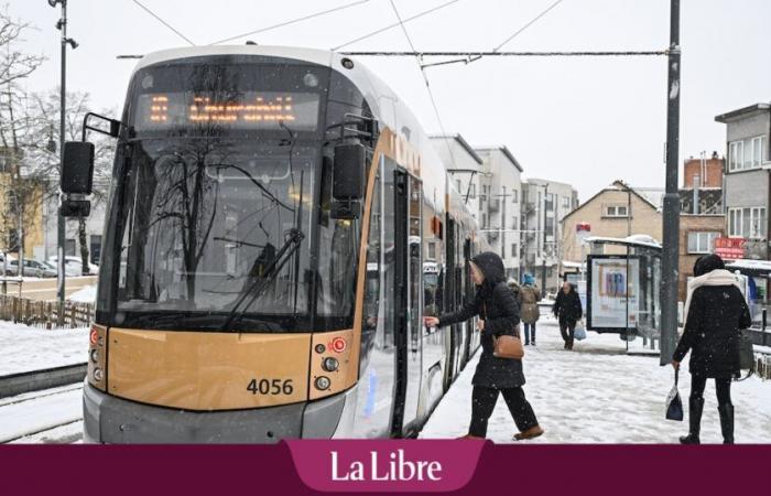 In Neder-Over-Heembeek, the tram divides: “It brings drug addiction from the Gare du Midi”