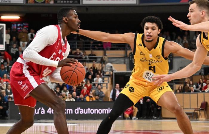 BASKETBALL (Betclic Elite): Elan Chalon overcomes La Rochelle, between contrasts and paradoxes