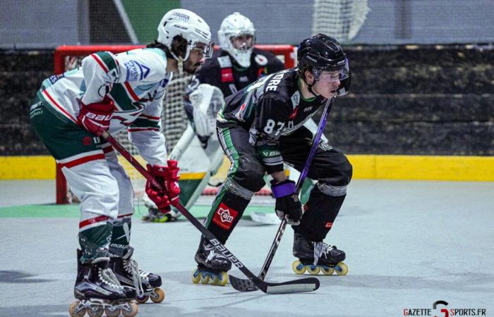 ROLLER-HOCKEY – Coupe de France: The step was too high for the Green Falcons