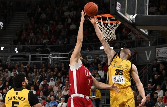 BASKETBALL (Betclic Elite): Elan Chalon overcomes La Rochelle, between contrasts and paradoxes