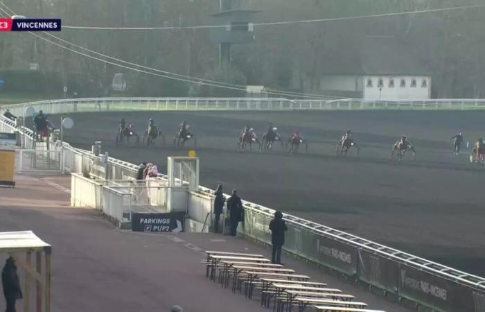 PX LES SENIORS DES COURSES (PX D’EVIAN) – PARIS-VINCENNES – 01/11/2025: starters, predictions and results in videos – Race 3