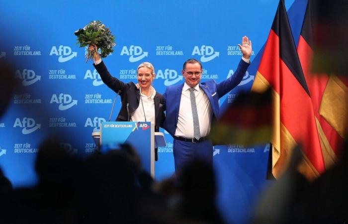 “Remigration”, demolition of wind turbines, exit from the EU… The AfD details its program for the German legislative elections