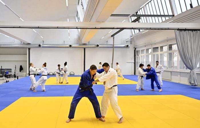 Yverdon: new dojo ready for the best judokas