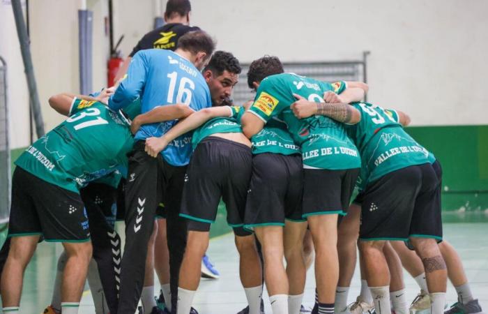 Handball. End of the Coupe de France adventure for the Assonnais