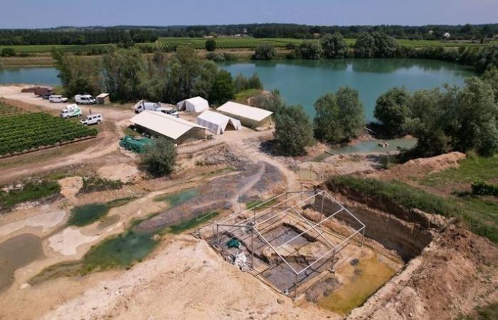 “We never thought we would find a new species” on the Angeac site, in Charente