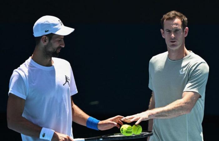 newly recruited, what can Andy Murray bring to Novak Djokovic?