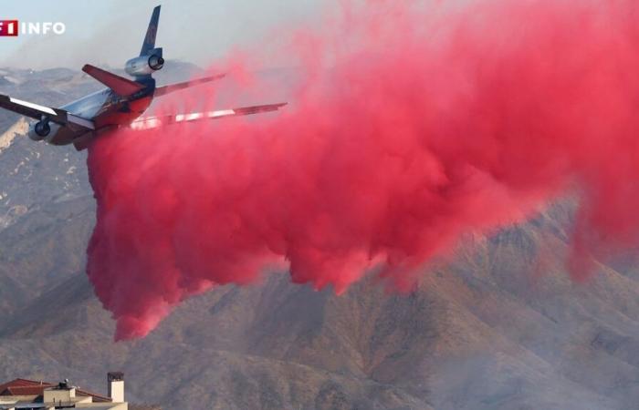 LIVE – Fires in Los Angeles: fire spreads to new areas