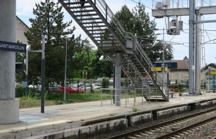 Isère. A 22-year-old woman gives birth on the train with the help of a conductor