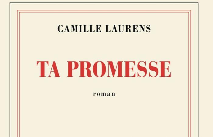 French novel – “Your promise”: from a beautiful love to a tragic end