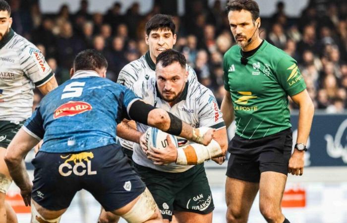 Rugby – Section Paloise: Nacho Calles on departure, Luke Whitelock on return