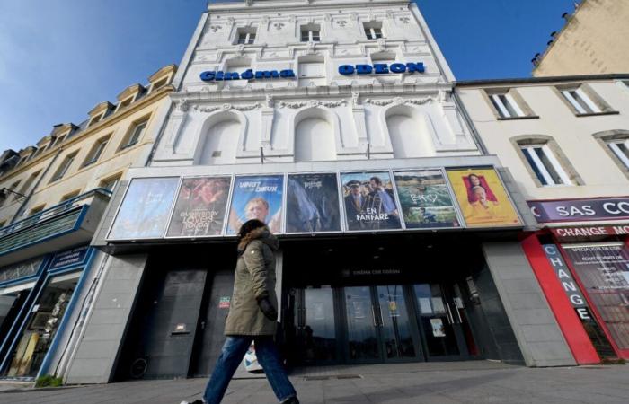 Thanks to French films, cinemas in La Manche are delighted with their attendance in 2024