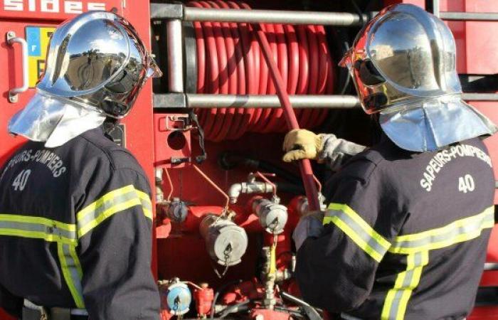 Start of fire in a silo which contained wood dust – Le Petit Journal