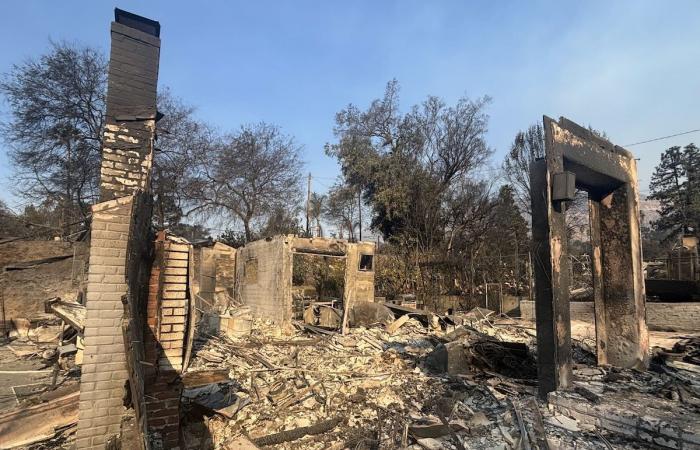 Fires in California: “Our house in Altadena and our town disappeared in one night”, Belgians testify to the disaster