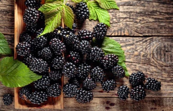 Here are the five healthiest fruits in the world, according to a very serious study!