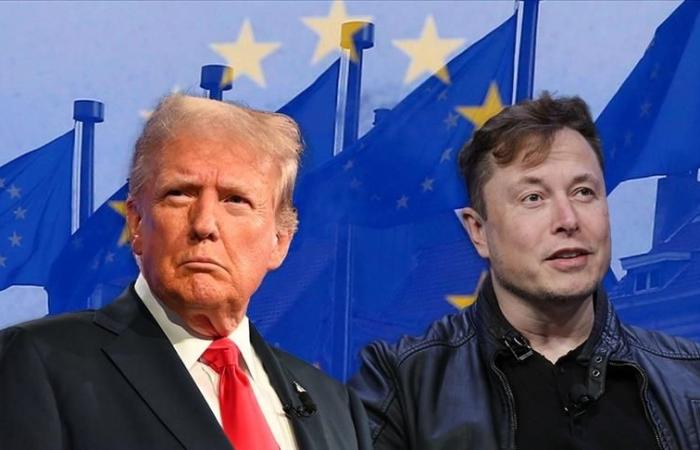 Trump and Musk’s interference in European politics threatens liberal democratic order: expert