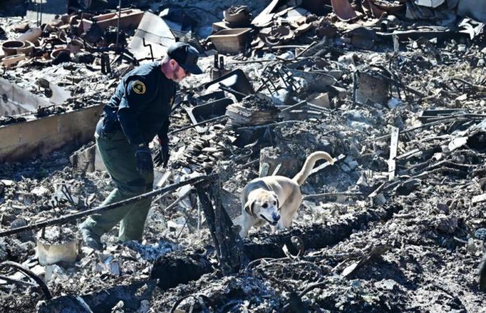 a looter disguised as a firefighter arrested in Los Angeles