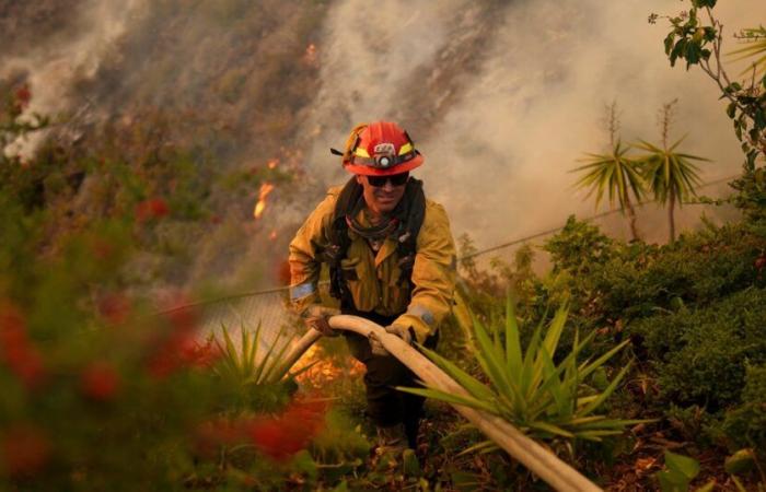 Firefighters battle to contain L.A. fires as Santa Ana winds are forecast to pick back up