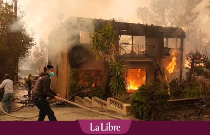 Fires in California: “Our house in Altadena and our town disappeared in one night”, Belgians testify to the disaster