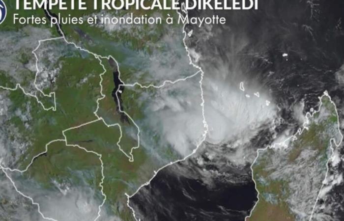 Cyclone Dikeledi: towards an improvement for Mayotte