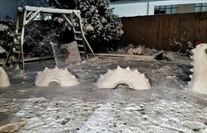 Nessie, Darth Vader and Ghostbusters Stay Puft Marshmallow Man among the snowman creations of mum in Blackburn, West Lothian; Loch Ness Monster creation took 3 hours to build