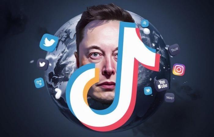 Elon Musk plans to buy TikTok: imminent revolution?