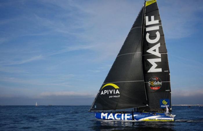 Vendée Globe: Dalin or Richomme, how much does the winner of the race and the second earn?