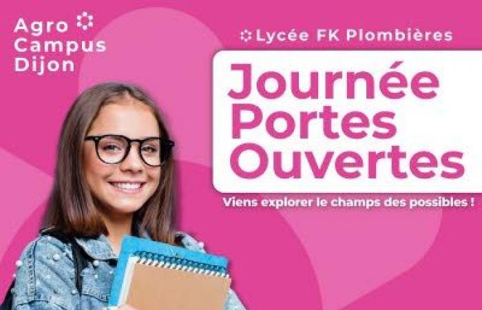 Open days in Plombieres les Dijon