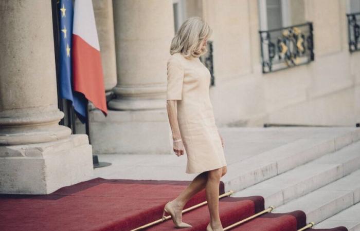 Did Brigitte Macron have ITT days in the transphobic cyberharassment affair? – Liberation