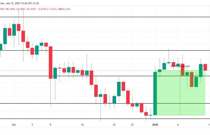 Crypto Stellar gained 30% thanks to trader confidence