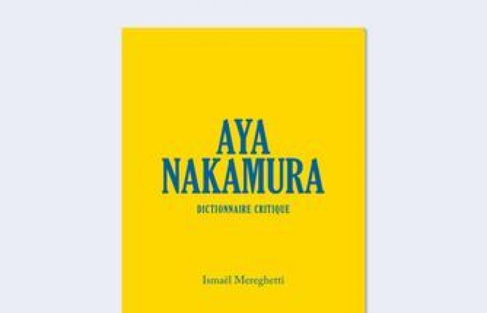 Launch evening of the book “Aya Nakamura, critical dictionary”, by Ismaël Mereghetti – La Place Center Culturel Hip Hop – Paris, 75001